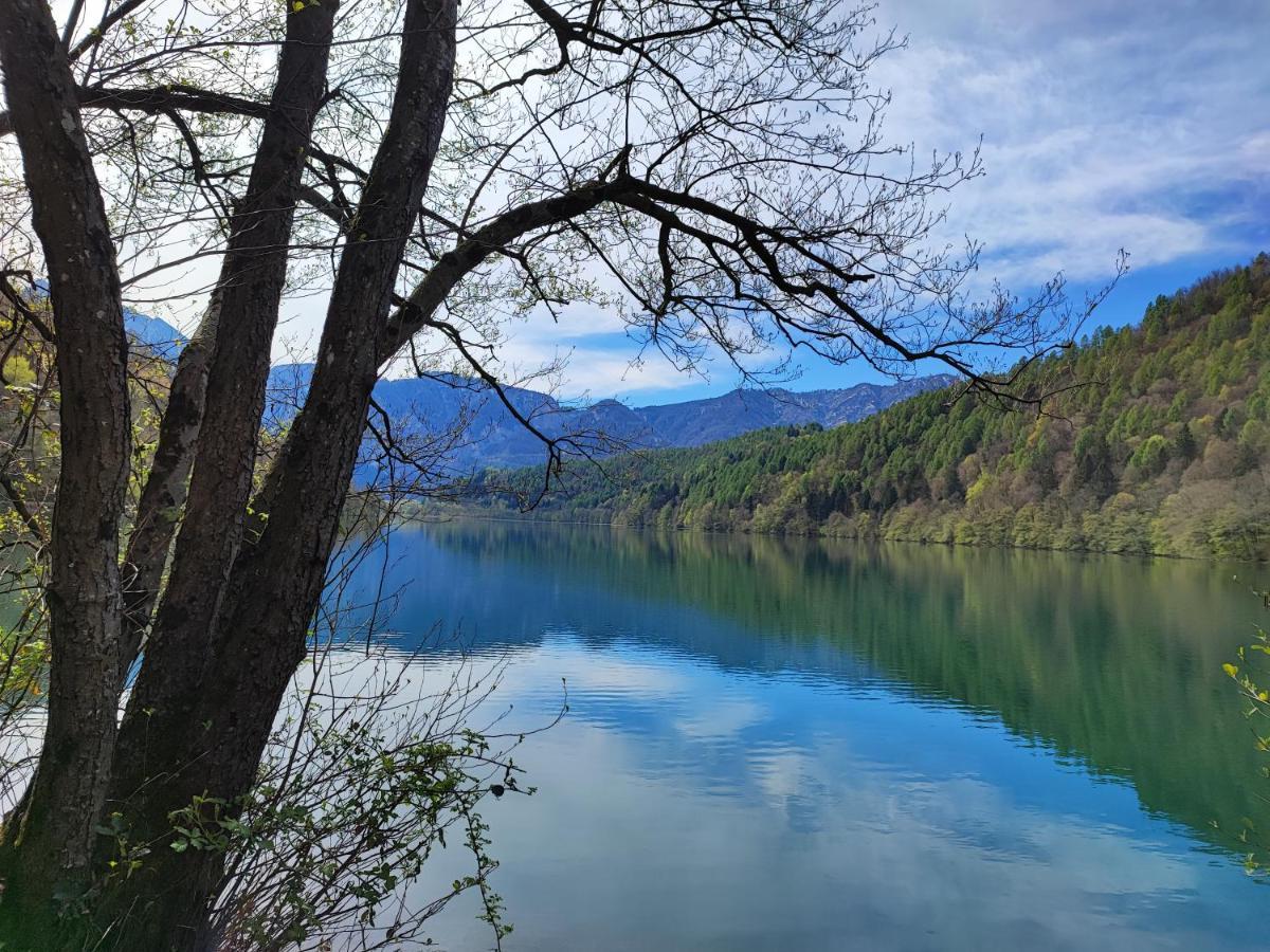 Il Riccio Del Castagno Lägenhet Novaledo Exteriör bild