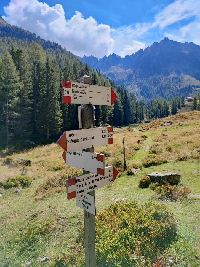 Il Riccio Del Castagno Lägenhet Novaledo Exteriör bild