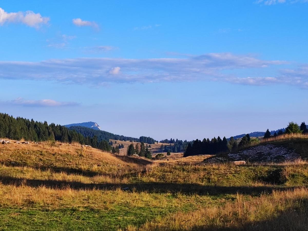 Il Riccio Del Castagno Lägenhet Novaledo Exteriör bild