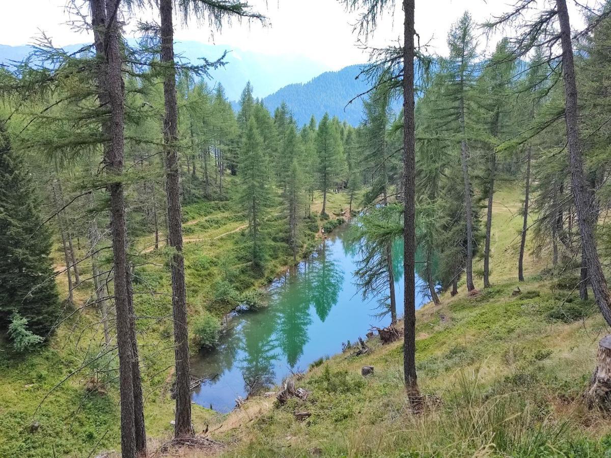Il Riccio Del Castagno Lägenhet Novaledo Exteriör bild