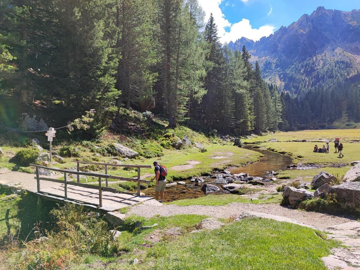 Il Riccio Del Castagno Lägenhet Novaledo Exteriör bild